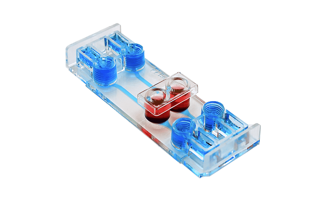 be transflow Beonchip