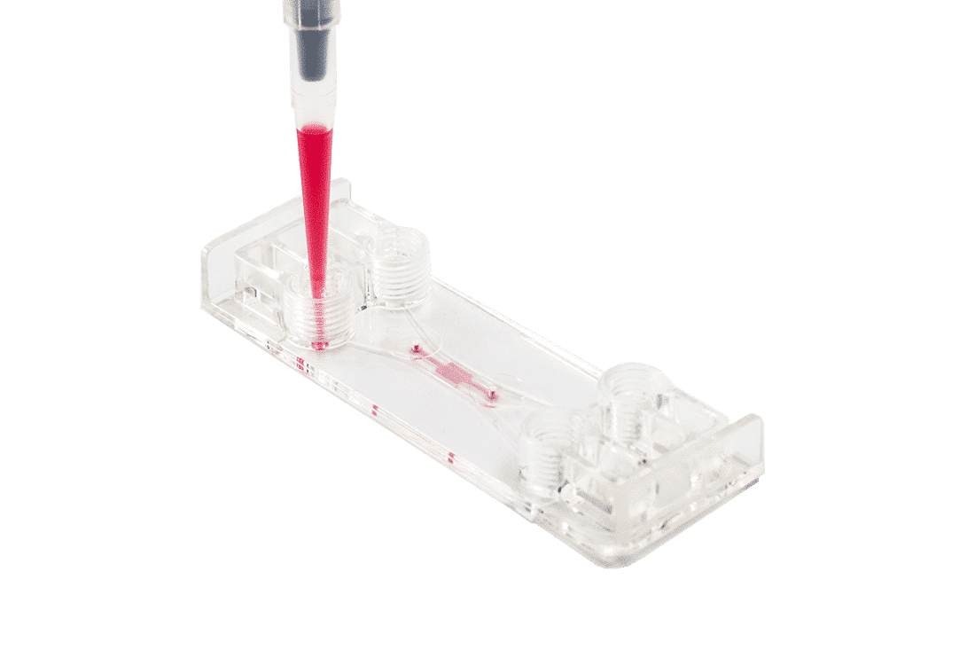 photo of Beonchip be gradient