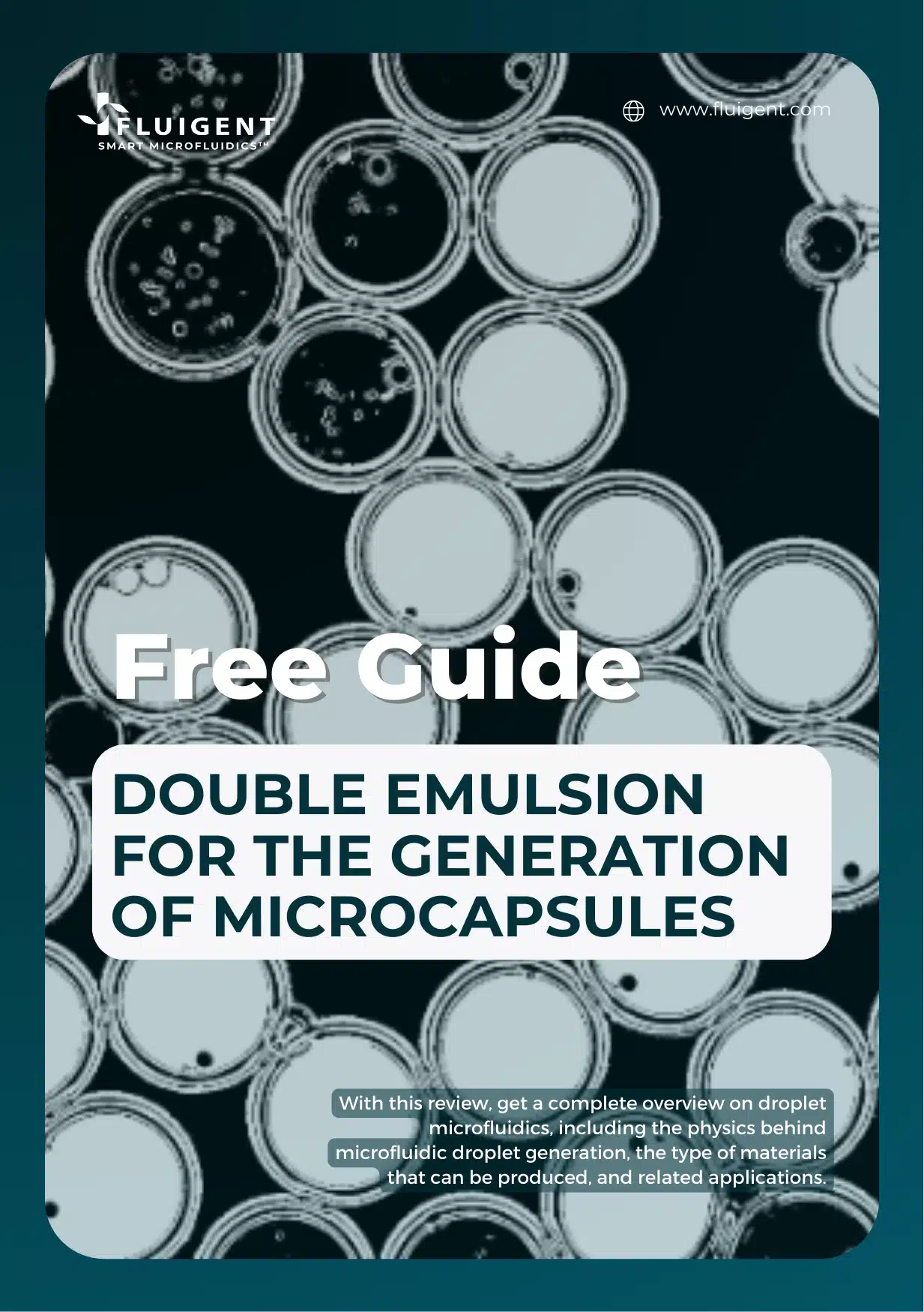 double-generation-white-paper-visual