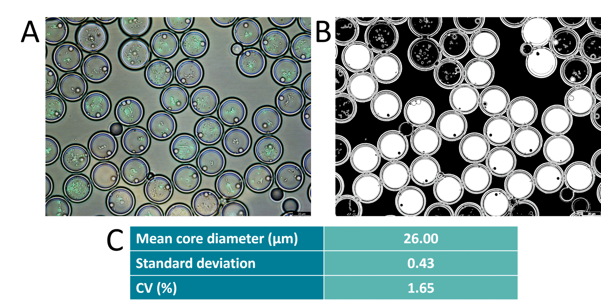 droplet sorting and microscopic observation of E COLI ENCAPSULATION
