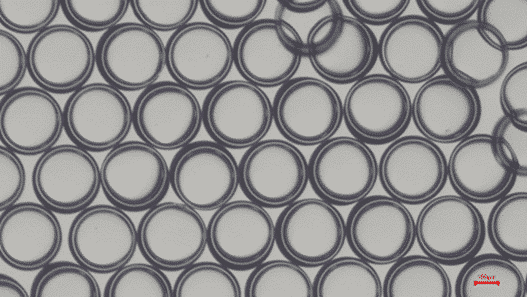 PEGDA particles with TPO photoinitiator