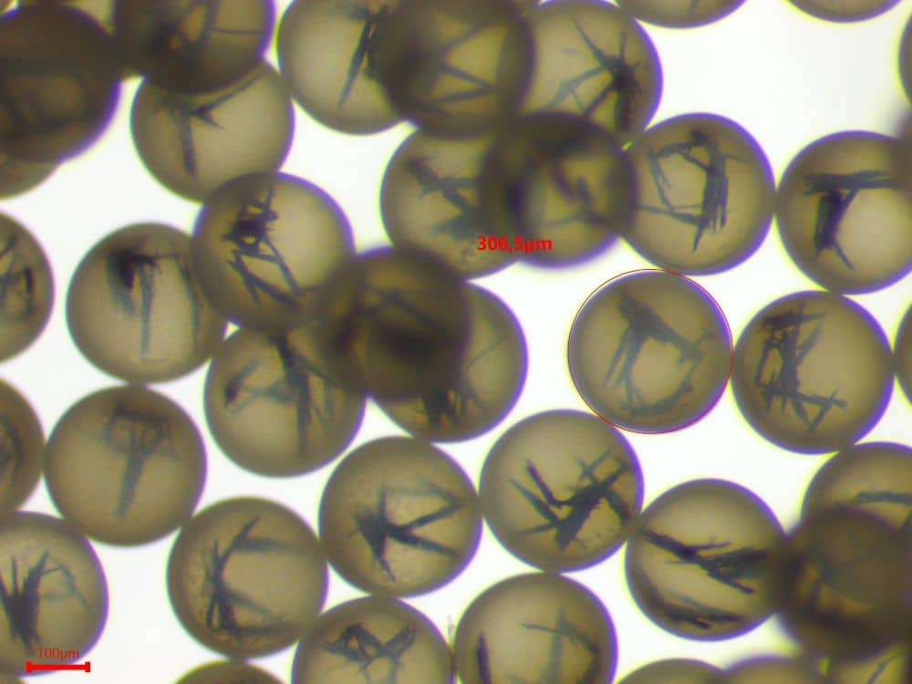 photo of encapsulation of iron oxide NPs inside 30gL core